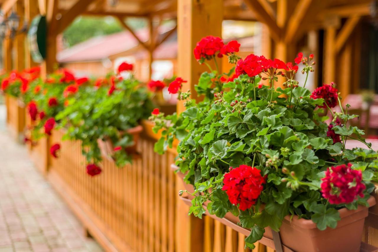 Lipicai Hotel Es Etterem Szilvásvárad Екстериор снимка