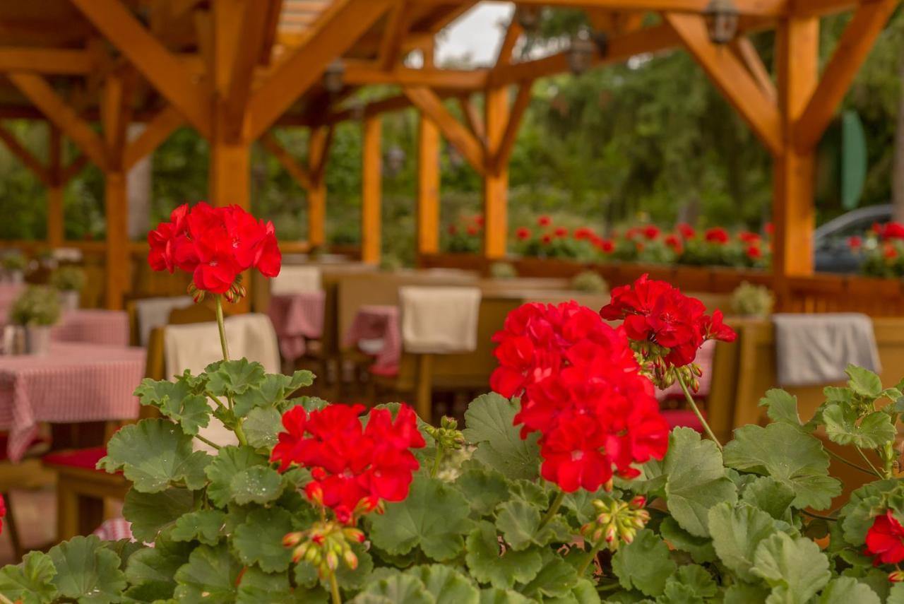 Lipicai Hotel Es Etterem Szilvásvárad Екстериор снимка